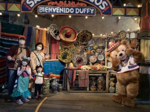 母がソアリンに乗らなかった理由